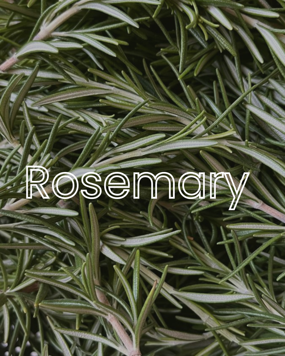 Rosemary & Mint Shampoo - Sulfate free - Paraben Free - 250ml